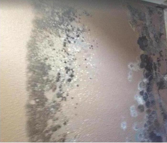mold outbreak on wall