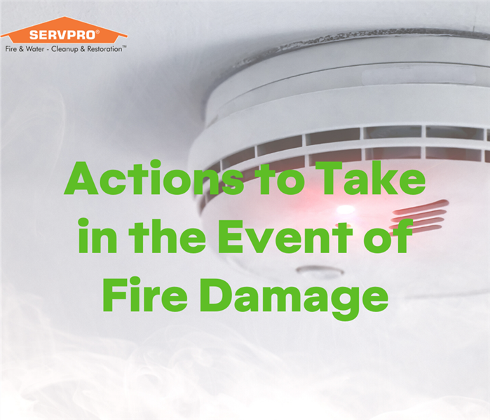 Smoke Detector