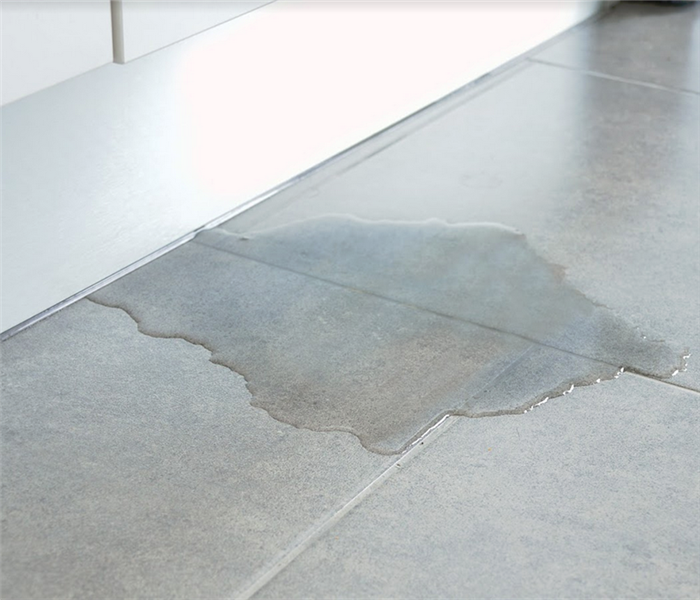 water leaking onto a tile from under a door